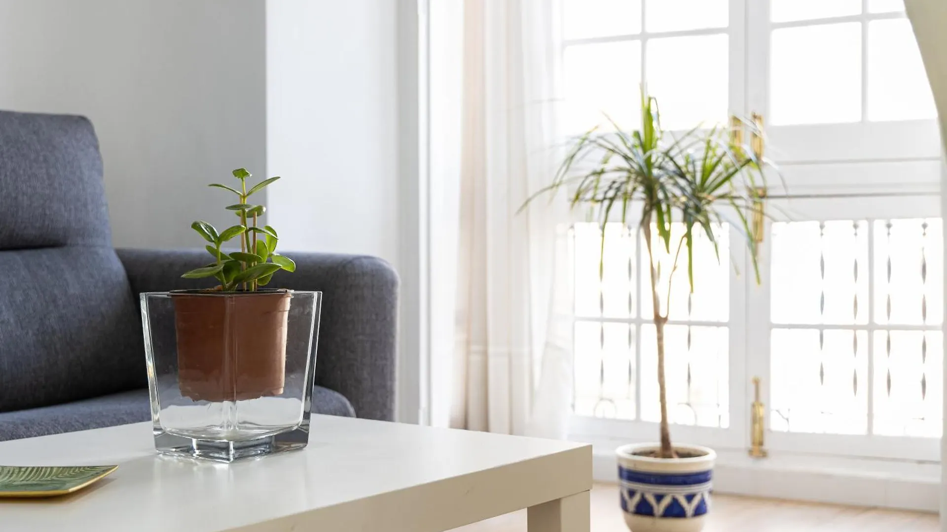 Apartamento Jacaranda Malaga 0*,  Spain